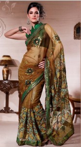 brown-color-saree-collection-2012-2013