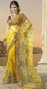latest-trend-saree-design-2012-2013