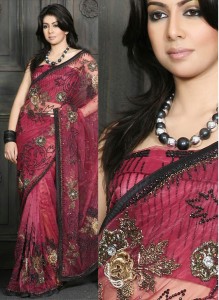 most-beautiful-saree-dress-picture-2012-2013