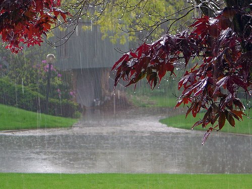 romantic-rainy-season-picture-2012-2013