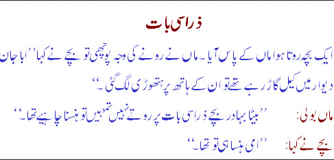 Largest Collection Of Latest Funny Urdu Joke 2013 Itsmyideas