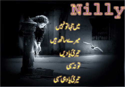 tari-yad-urdu-latest-poetry-2013