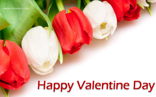 valentine-day-2013-Flower HighDefination widescreen wallpaper .jpg