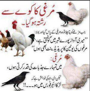 world-best-urdu-joke-2013