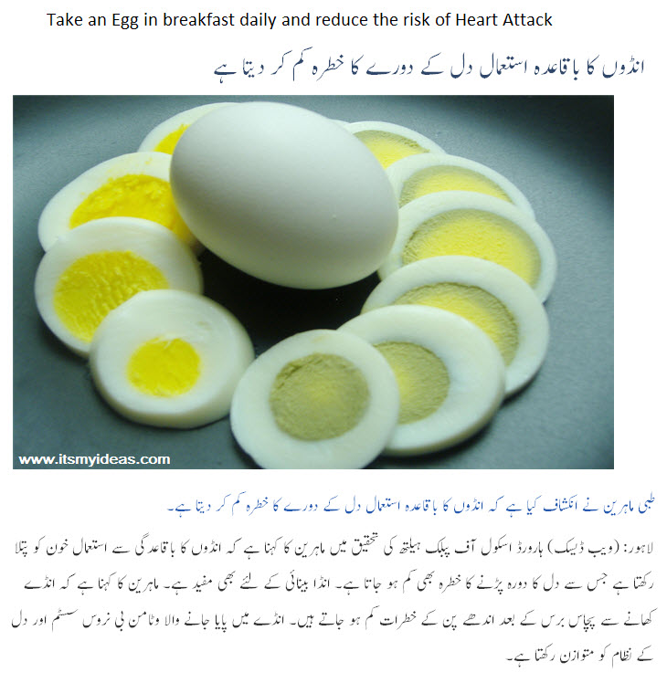 eating an Egg-health-benefits