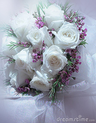 Beautiful picture of white roses wallpaper