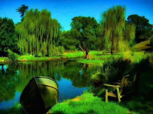 Download this Most Beautiful Natural Scene Tree Boat Wallpaper For Laptop picture