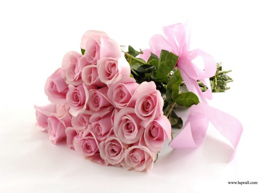latest-HD-Pink Color-Flowers wallpaper