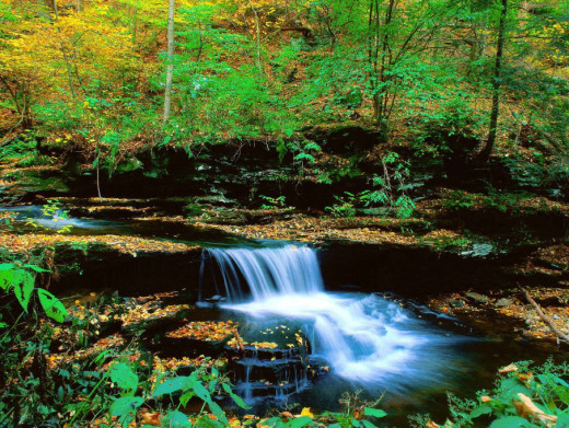 world-most-beautifull-Natural-scene-green color waterfall photo-2013 2014