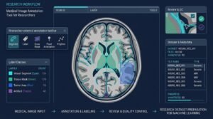 Medical Image Annotation Tool for Researchers